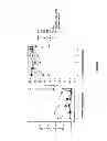 Fig. 08 - Pheromone composition