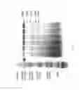 Fig. 72 - COMPOSITIONS AND METHODS FOR TREATING COLLAGEN-MEDIATED DISEASES