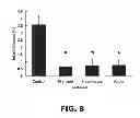 Fig. 09 - DODECAFLUOROPENTANE EMULSION AS A STROKE AND ISCHEMIA THERAPY
