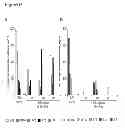 Fig. 12 - Immune regulatory oligonucleotide (IRO) compounds to modulate toll-like receptor based immune response