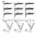 Fig. 04 - Methods for treating and/or limiting development of diabetes