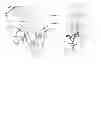 Fig. 09 - ST2 antigen binding proteins