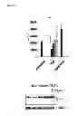Fig. 57 - Methods for Modulation of Autophagy Through the Modulation of Autophagy-Enhancing Gene Products