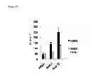 Fig. 63 - Methods for Modulation of Autophagy Through the Modulation of Autophagy-Enhancing Gene Products
