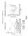 Fig. 09 - Methods of reducing basophil levels