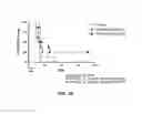 Fig. 30 - B-cell reduction using CD37-specific and CD20-specific binding molecules