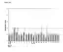 Fig. 37 - antibodies