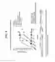 Fig. 10 - ANTI-MESOTHELIN BINDING PROTEINS