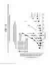 Fig. 18 - ANTI-MESOTHELIN BINDING PROTEINS