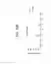 Fig. 137 - METHODS FOR TREATING OR PREVENTING CHOLESTEROL RELATED DISORDERS