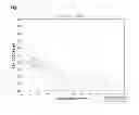 Fig. 12 - Treatment method for relapsing-remitting multiple sclerosis