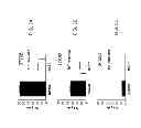 Fig. 05 - Yeast-Brachyury immunotherapeutic compositions