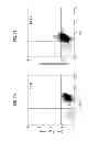 Fig. 09 - Yeast-Brachyury immunotherapeutic compositions