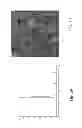 Fig. 04 - Purification of virus like particles