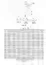 Fig. 08 - METHOD FOR PRODUCING VIRUS-LIKE PARTICLE BY USING DROSOPHILA CELL AND APPLICATIONS THEREOF