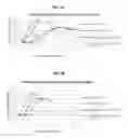 Fig. 03 - Antigenic chimeric tick-borne encephalitis virus/dengue virus type 4 recombinant viruses