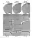 Fig. 04 - Antigenic chimeric tick-borne encephalitis virus/dengue virus type 4 recombinant viruses