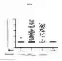 Fig. 07 - Antigenic chimeric tick-borne encephalitis virus/dengue virus type 4 recombinant viruses