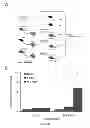 Fig. 14 - Methods and compositions for inhibiting diseases of the central nervous system