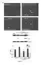 Fig. 18 - Methods and compositions for inhibiting diseases of the central nervous system
