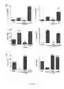 Fig. 19 - Methods and compositions for inhibiting diseases of the central nervous system