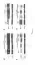 Fig. 29 - Methods and compositions for inhibiting diseases of the central nervous system