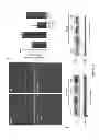 Fig. 30 - Methods and compositions for inhibiting diseases of the central nervous system