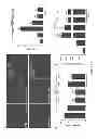 Fig. 34 - Methods and compositions for inhibiting diseases of the central nervous system