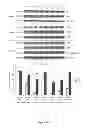 Fig. 68 - Methods and compositions for inhibiting diseases of the central nervous system