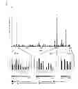 Fig. 07 - Antigens and epitopes derived from 