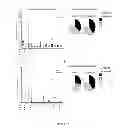 Fig. 08 - Antigens and epitopes derived from 