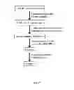 Fig. 15 - Antigens and epitopes derived from 