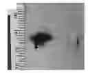 Fig. 01 - NANOFIBER SCAFFOLDS AND METHODS FOR REPAIRING SKIN DAMAGE
