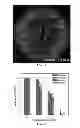 Fig. 10 - NANOFIBER SCAFFOLDS AND METHODS FOR REPAIRING SKIN DAMAGE