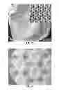 Fig. 12 - NANOFIBER SCAFFOLDS AND METHODS FOR REPAIRING SKIN DAMAGE