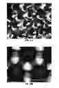 Fig. 17 - NANOFIBER SCAFFOLDS AND METHODS FOR REPAIRING SKIN DAMAGE