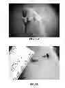 Fig. 27 - NANOFIBER SCAFFOLDS AND METHODS FOR REPAIRING SKIN DAMAGE