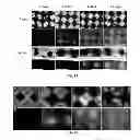 Fig. 32 - NANOFIBER SCAFFOLDS AND METHODS FOR REPAIRING SKIN DAMAGE