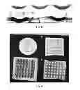 Fig. 45 - NANOFIBER SCAFFOLDS AND METHODS FOR REPAIRING SKIN DAMAGE