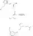 Fig. 119 - Selective inhibitors of histone deacetylase