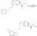 Fig. 96 - Selective inhibitors of histone deacetylase