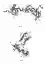 Fig. 04 - Pharmaceutical composition