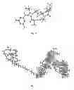 Fig. 06 - Pharmaceutical composition