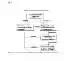 Fig. 03 - Solid Dosage Forms of Bendamustine