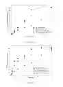 Fig. 16 - Misuse preventative, controlled release formulation