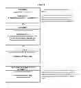 Fig. 11 - PHARMACEUTICAL FORMULATIONS OF INDIBULIN AND USES THEREOF