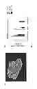 Fig. 02 - Compositions and methods for treating and preventing porcine reproductive and respiratory syndrome