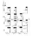 Fig. 07 - Compositions and methods for treating and preventing porcine reproductive and respiratory syndrome