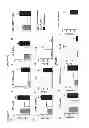 Fig. 09 - Compositions and methods for treating and preventing porcine reproductive and respiratory syndrome