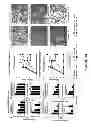 Fig. 30 - Compositions and methods for treating and preventing porcine reproductive and respiratory syndrome